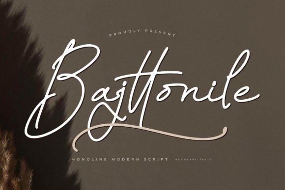 Bajttonile: A Modern Script Font for Branding