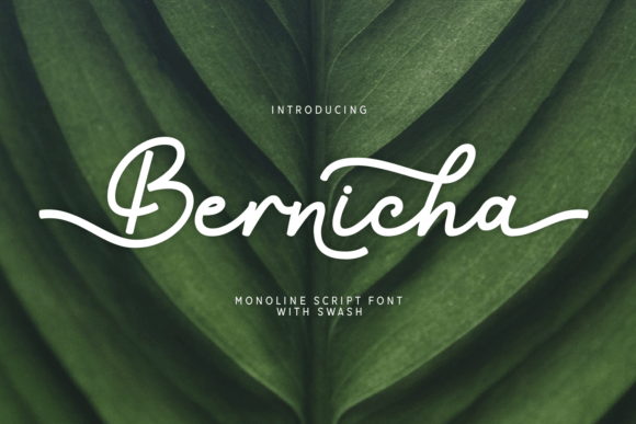 Bernicha: The Sleek Script Font for Modern Campaigns
