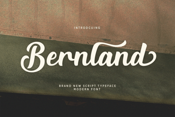Bernland: A Modern Script Font for Web Design