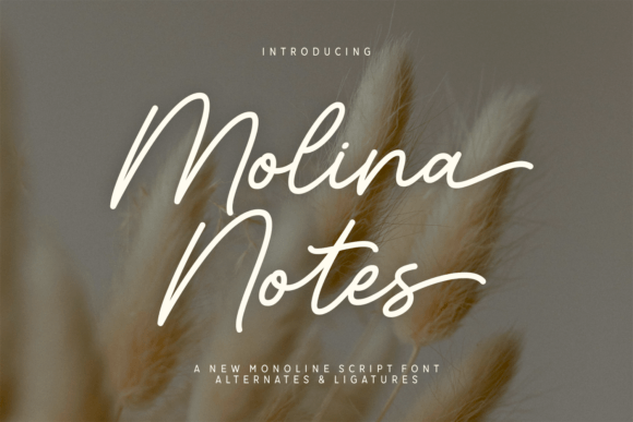 Molina Notes: A Refined Script Font for Business