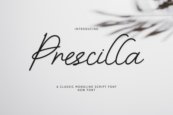 Prescilla: A Timeless Monoline Script Font Review